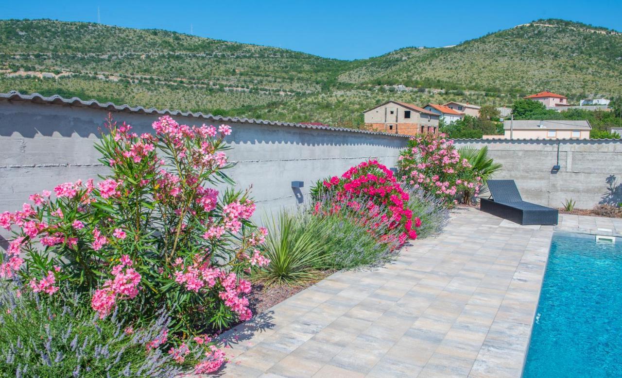 Villa Carpe Diem - With Private Pool Mostar Zewnętrze zdjęcie